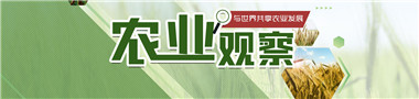 北京市首届农业农村信息化示范基地授牌仪式举行